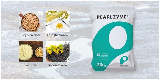 Anti-inflammatory Activity Enzyme Feed Additives | Pearlzyme Inc.