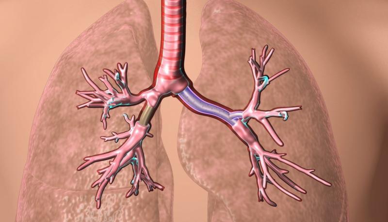 Tracheobronchial Stent Grafts Market