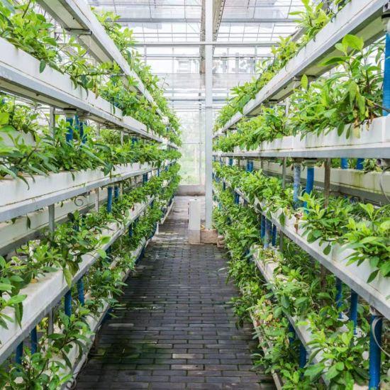 Greenhouse Products Market Growth, Analysis Report, Share,