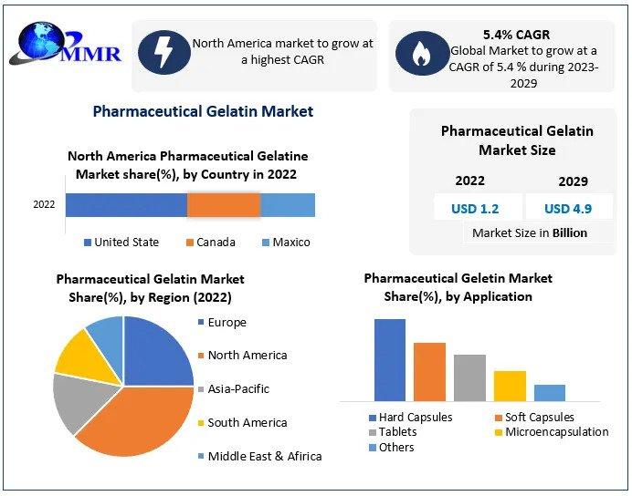 Pharmaceutical Gelatin Market