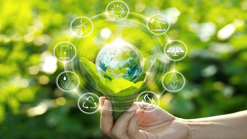Green Technology and Sustainability/Xcellent Insights