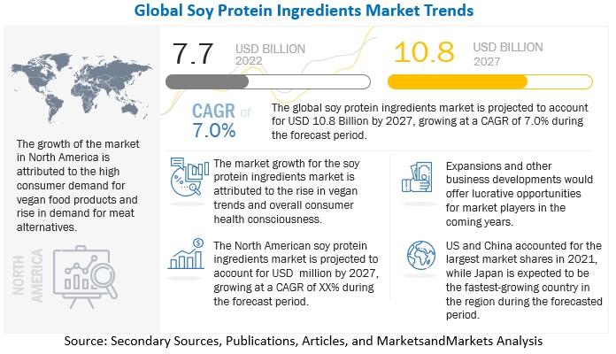 Growth Projections and Market Dynamics of the Global Soy Protein