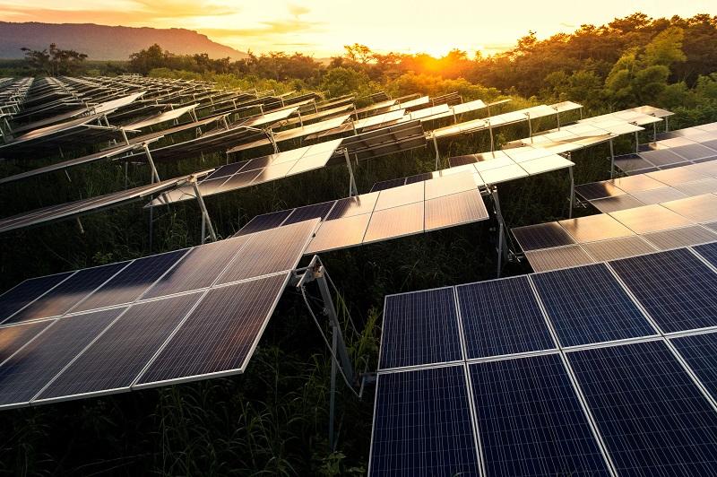 Solar Energy Market: Illuminating the Path to a Sustainable