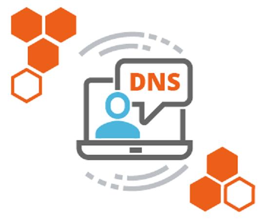 DNS Hosting Services Market