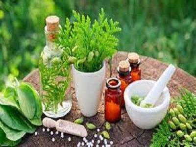 Botanical and Plant-Derived Drugs Market to Eyewitness Massive