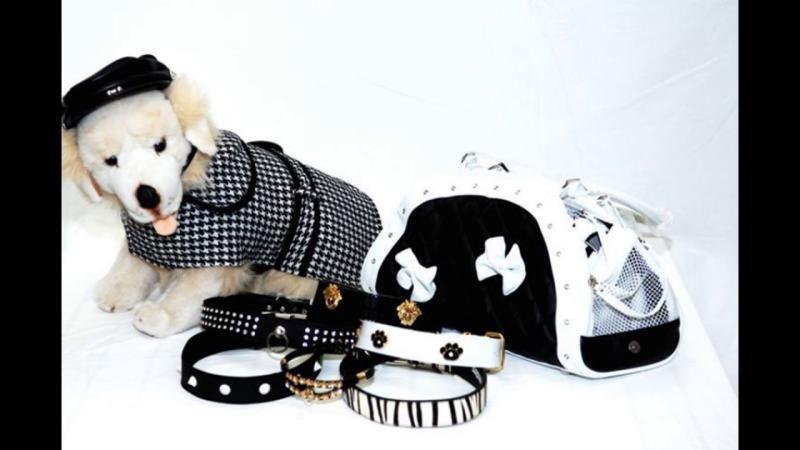 Dog Clothing & Accessories Market