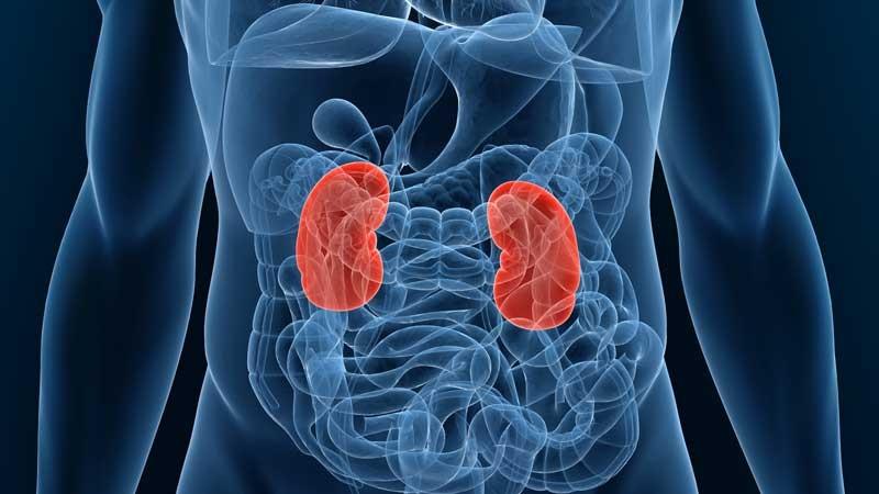 End Stage Renal Disease Market