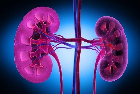 Diabetic Nephropathy Market Size, 2023 Analysis, Industry