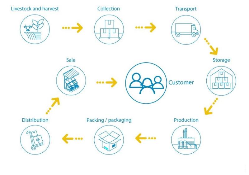 Food Cold Chain