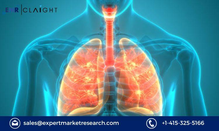 Navigating the Emphysema Treatment Market: Growth, Trends,