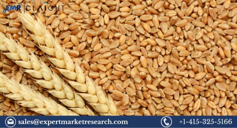 Wheat Market