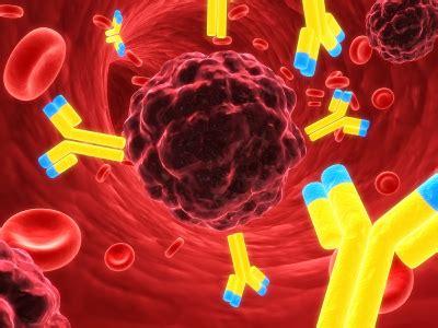 Complete Bispecific Antibody Market Analysis & Forecast