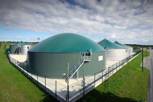 Biogas Plant Market