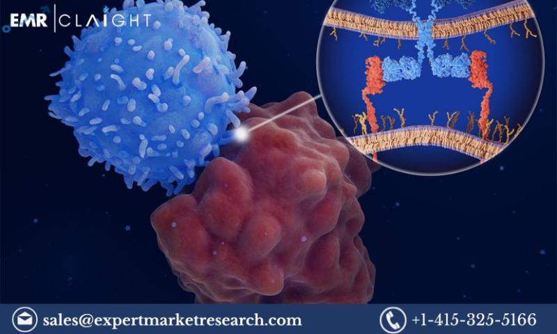 Allogeneic T Cell Therapies Market Size, Share, Price, Trends,