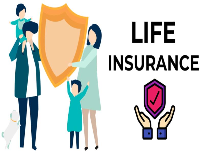 Straight Life Insurance Market Is Gaining Huge Growth