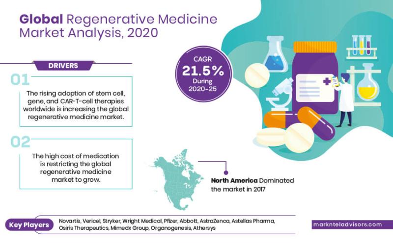 Regenerative Medicine Market Share, Growth, Trends, Covid-19