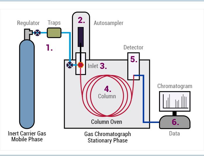 Insulated Gas Chromatograph Market Trends, Analysis Key