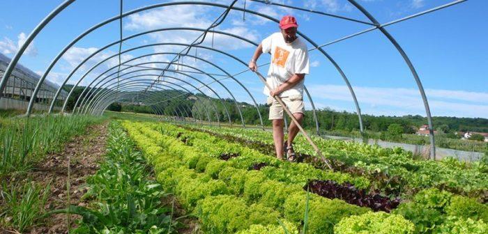 Organic Farming Market