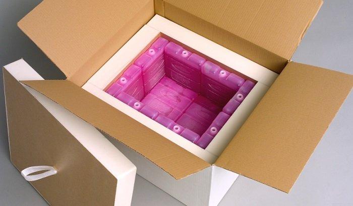 Temperature Controlled Packaging Solutions Market Rising