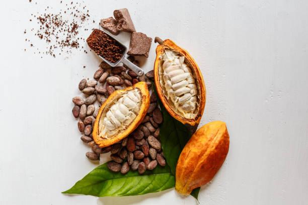 Cocoa Market [2023-2031] Industry Size, Share, Trends,