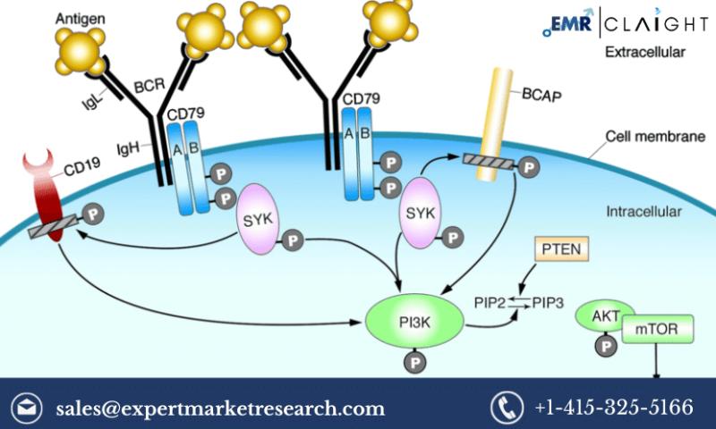 Phosphoinositide 3-Kinase (PI3K) Inhibitors Market