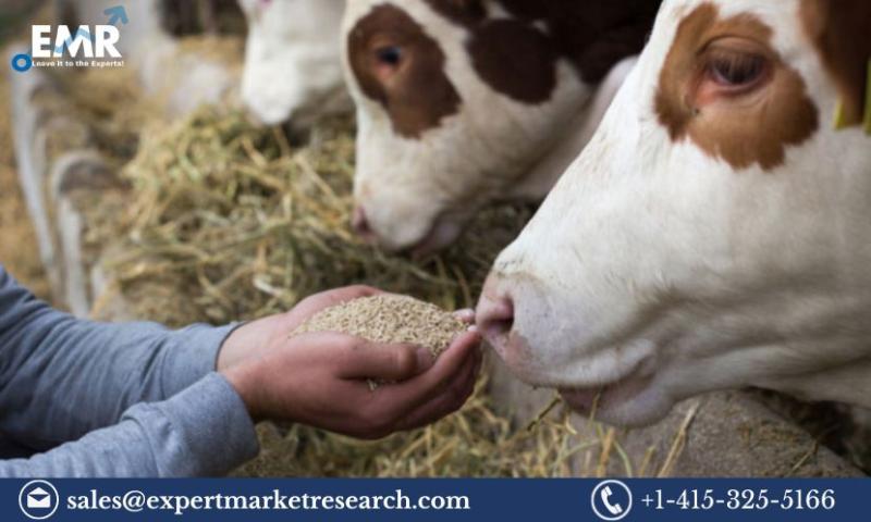 Global Animal Feed Micronutrients Market Size, Share, Growth, Report and Forecast 2024-2032