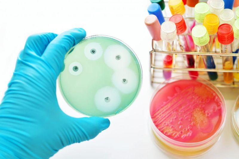 Automated Antimicrobial Susceptibility Testing Market Report