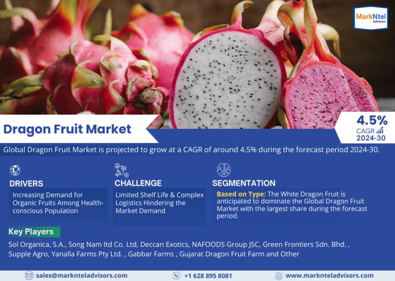 Dragon Fruit Market Outlook, Size, Share, Analysis, Trend,