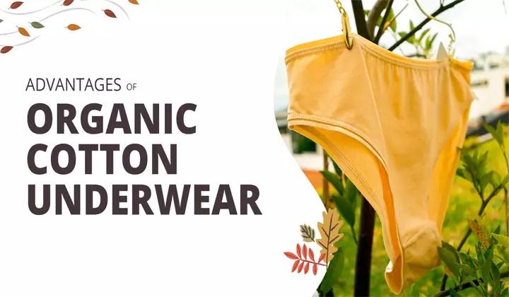 Organic Cotton Underwear Market to Witness Massive Growth