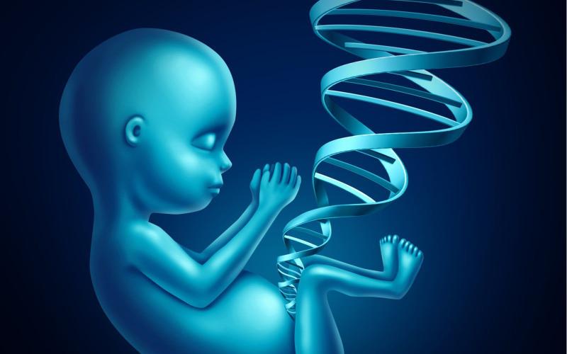 Navigating the Future with Excellence in Prenatal DNA Sequencing Market and Industry Forecast, 2023-2032