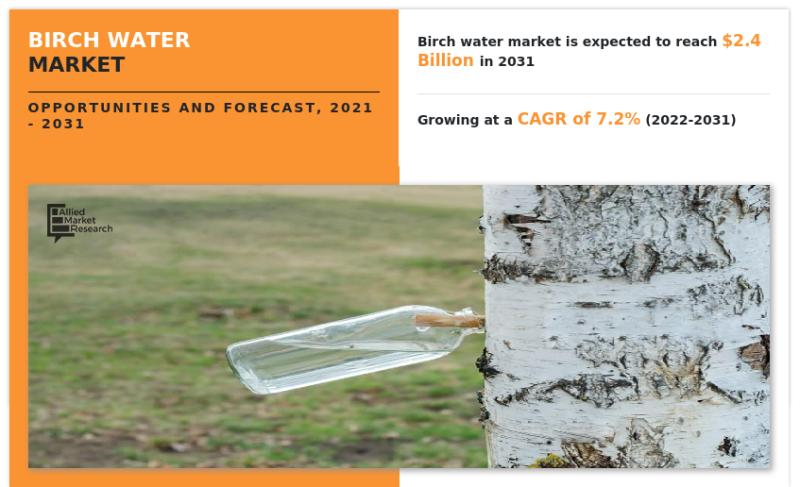 Birch Water Market Size Analysis - U.S. was the most prominent market in North America, and is projected to reach $555.0 million by 2031, growing at a CAGR of 6.8%
