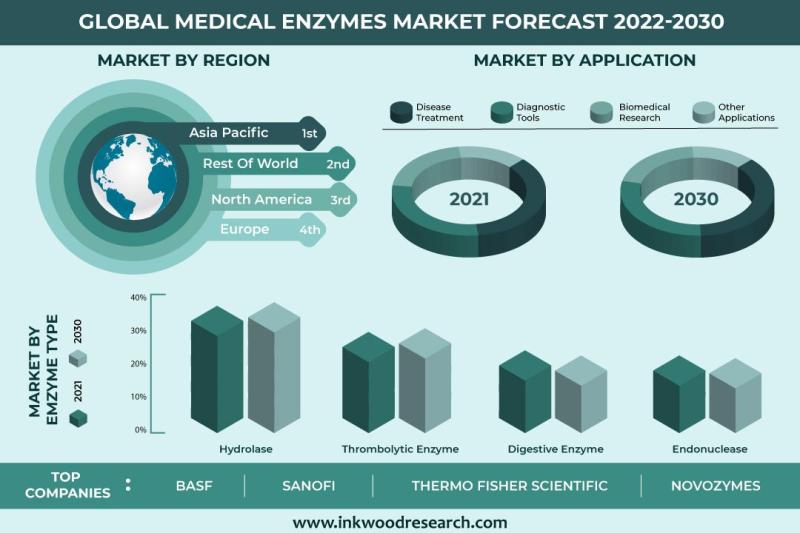 Increasing Prevalence of Chronic Diseases to Facilitate Global Medical Enzymes Market Growth
