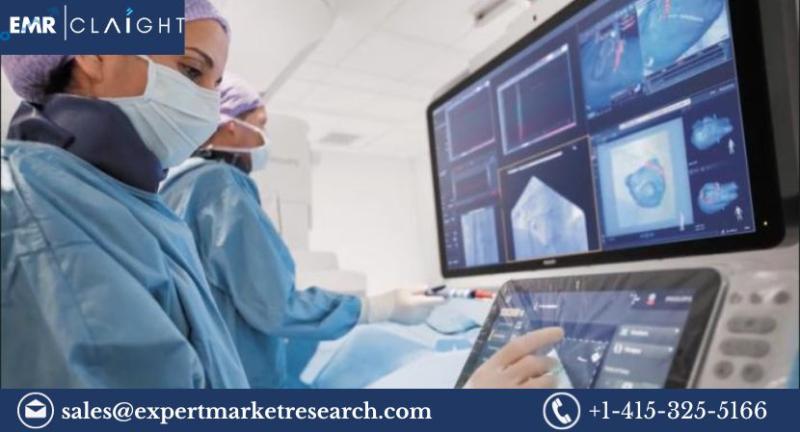 Electrophysiology Devices Market Size, Share Report and Forecast 2024-2032
