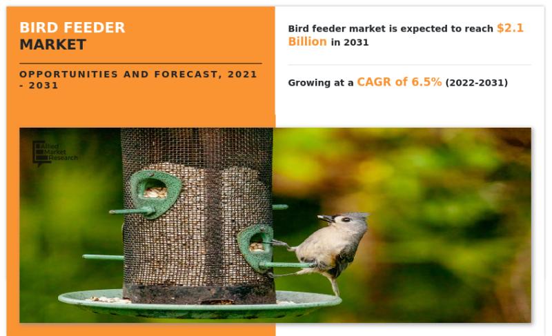 Bird Feeder Market Growing at 6.5% CAGR to Hit $2.1 billion by 2031|Growth, Share Analysis, Company Profiles