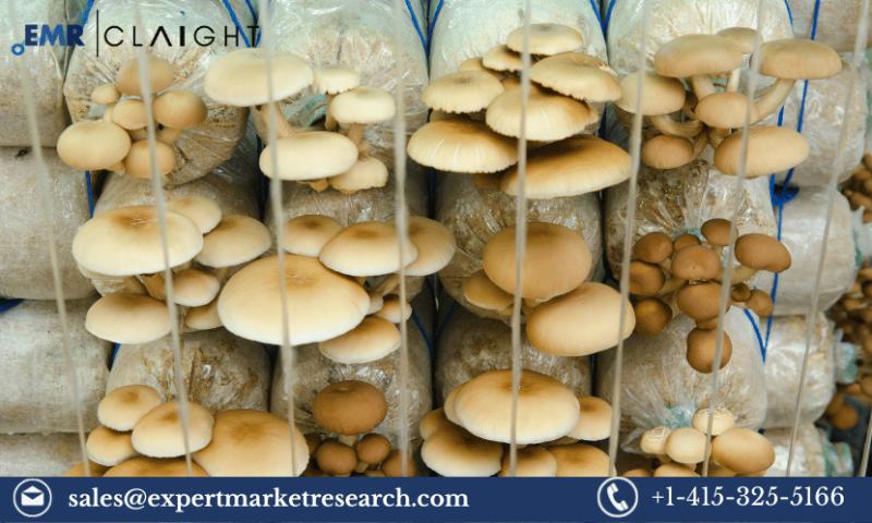 Mushroom Cultivation Market Size, Share, Industry Report, Growth, Analysis, Price, Trends and Forecast 2024-2032
