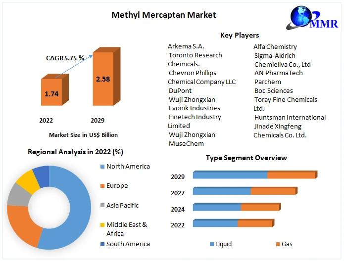 Methyl Mercaptan Market