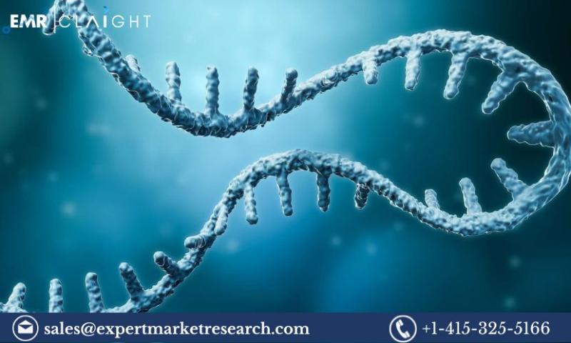 Unraveling the DNA of Growth: Oligonucleotide Synthesis Market Insights