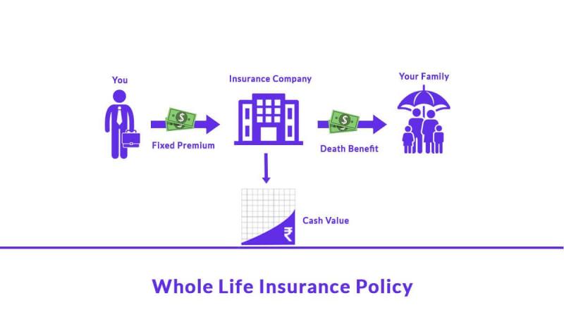 Whole Life Insurance