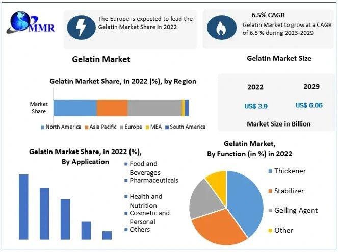 Gelatin Market Size Breaks Barriers, Expected to Cross USD 6.06 Billion by 2029