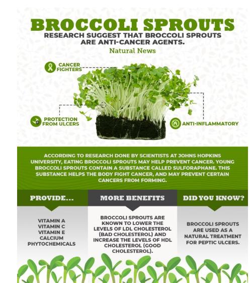 Broccoli Microgreens Market: Pumping the Future | Europe Dominated Regionwise | Revenue $398.5 million by 2031