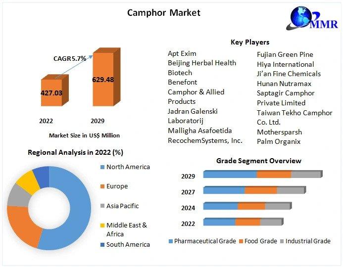 Camphor Market