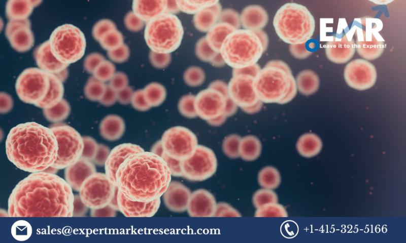 HPV Associated Disorders Market Size to Grow at a CAGR of 5% in the Forecast Period of 2024-2032