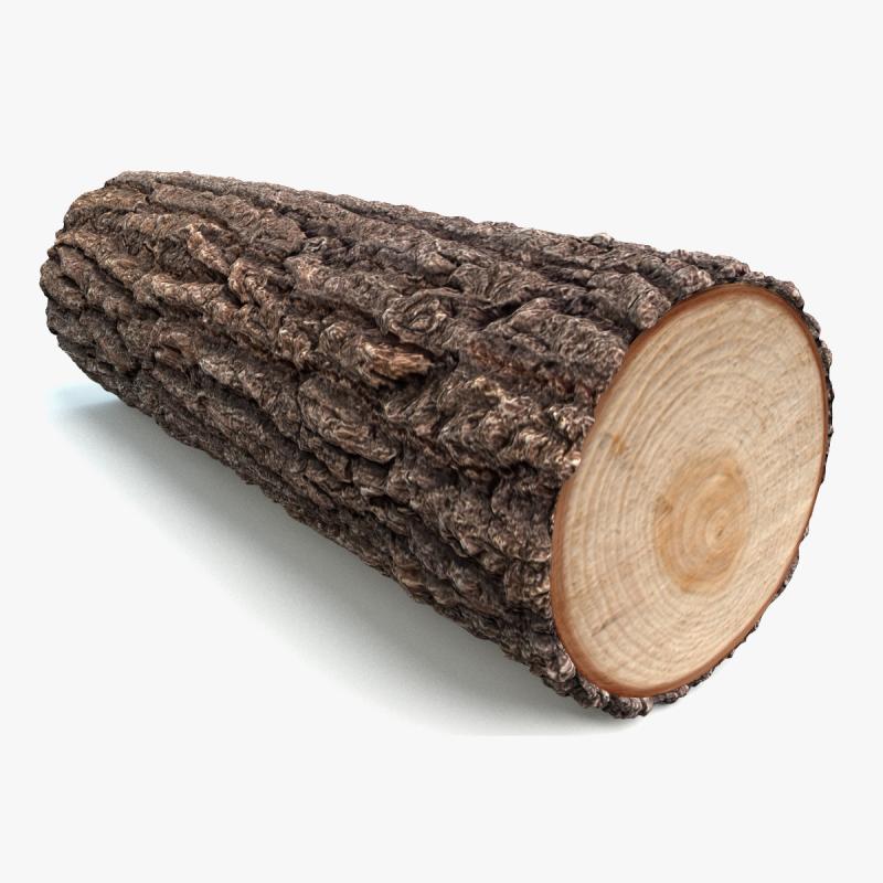 Logs Market 2031 (New Research) Report, Unveils Key Insights