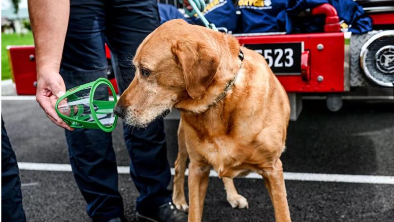 Pawprint Oxygen is the leading supplier of Pet Oxygen Products to Fire Departments around the country