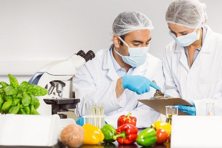 Food Safety Testing Market Ensures Purity and Quality,