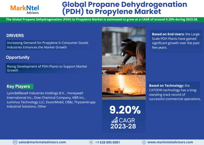 Propane Dehydrogenation (PDH) to Propylene Market Growth,