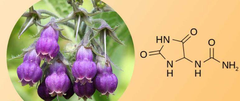 Allantoin Market Top Growth Companies Global Growth, Size,