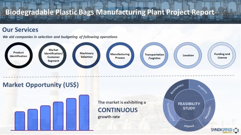 plastic bags manufacturing business plan