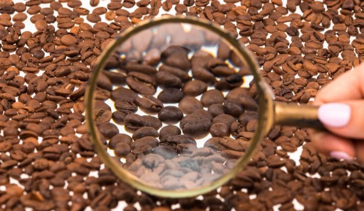 Coffee Beans Market 2023 Production, Revenue, Price, Market