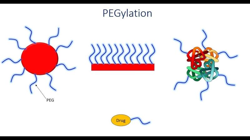 PEGylated Proteins Market